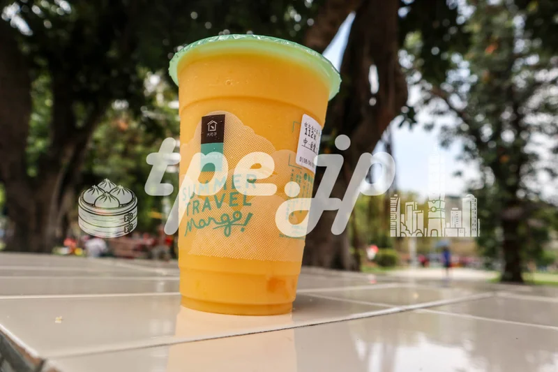 大苑子 DaYung’s