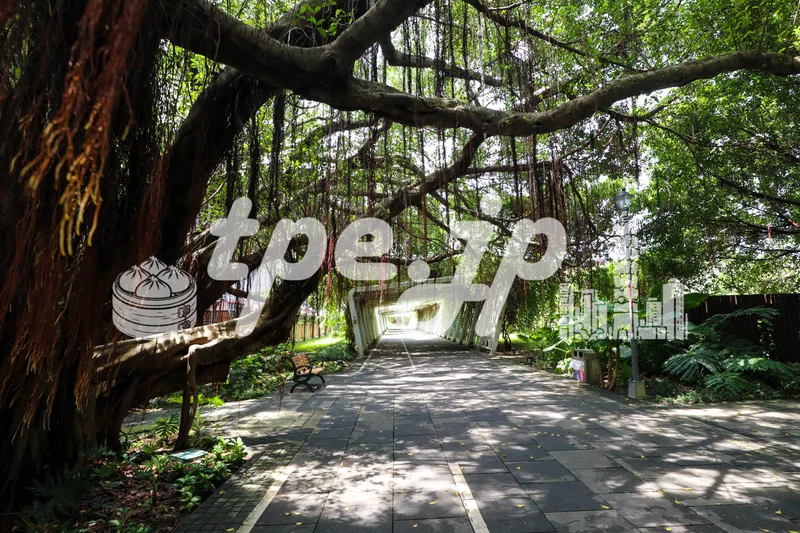 花博公園/台北