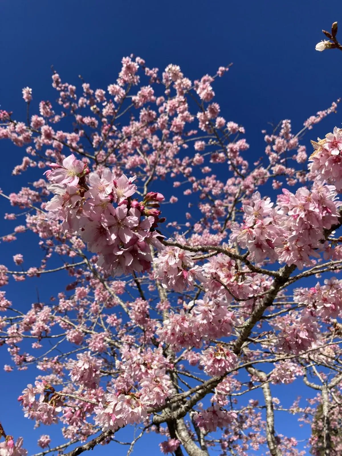 嘉義県の両替所情報