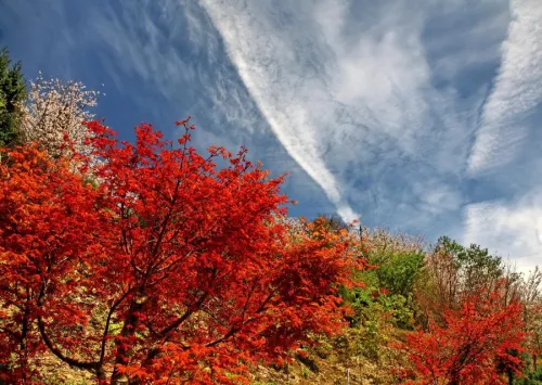 新竹県